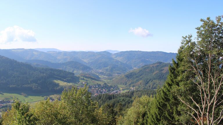 Dieses Bild zeigt eine Webcam-Aufnahme vom Achertal, aufgenommen am Montag, den 05.10.2026 um 11:40 Uhr. Die Temperatur betrug 20.4°C.