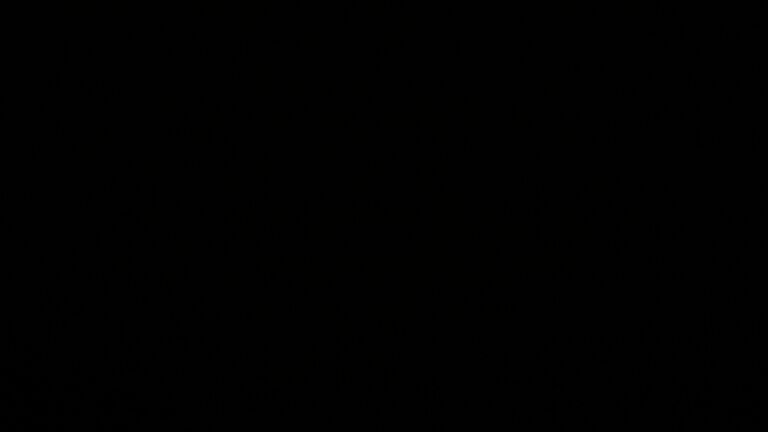 Dieses Bild zeigt eine Webcam-Aufnahme vom Achertal, aufgenommen am Mittwoch, den 11.02.2026 um 02:30 Uhr. Die Temperatur betrug 3.9°C.