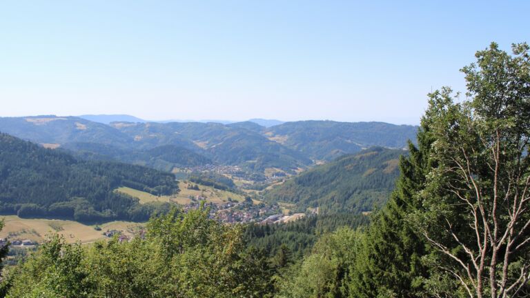Dieses Bild zeigt eine Webcam-Aufnahme vom Achertal, aufgenommen am Freitag, den 14.08.2026 um 12:30 Uhr. Die Temperatur betrug 32.2°C.
