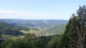 Dieses Bild zeigt eine Webcam-Aufnahme vom Achertal, aufgenommen am Montag, den 20.07.2026 um 10:10 Uhr. Die Temperatur betrug 17°C.