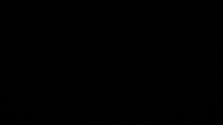 Dieses Bild zeigt eine Webcam-Aufnahme vom Achertal, aufgenommen am Montag, den 23.02.2026 um 05:30 Uhr. Die Temperatur betrug 3.8°C.