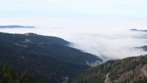 Dieses Bild zeigt eine Webcam-Aufnahme vom Achertal, aufgenommen am Montag, den 22.12.2025 um 12:10 Uhr. Die Temperatur betrug 7.2°C.