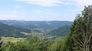 Dieses Bild zeigt eine Webcam-Aufnahme vom Achertal, aufgenommen am Mittwoch, den 08.07.2026 um 11:00 Uhr. Die Temperatur betrug 22.5°C.