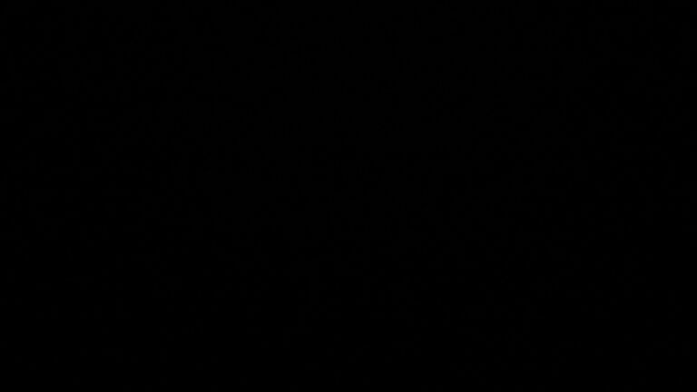 Dieses Bild zeigt eine Webcam-Aufnahme vom Achertal, aufgenommen am Montag, den 23.02.2026 um 05:00 Uhr. Die Temperatur betrug 3.9°C.