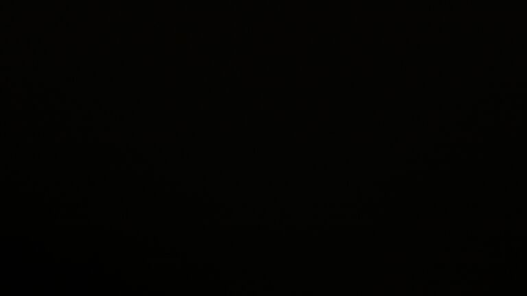 Dieses Bild zeigt eine Webcam-Aufnahme vom Achertal, aufgenommen am Dienstag, den 25.11.2025 um 04:30 Uhr. Die Temperatur betrug 0.1°C.