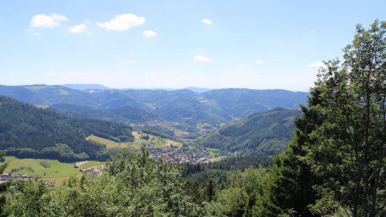 Dieses Bild zeigt eine Webcam-Aufnahme vom Achertal, aufgenommen am Montag, den 15.06.2026 um 14:50 Uhr. Die Temperatur betrug 21°C.