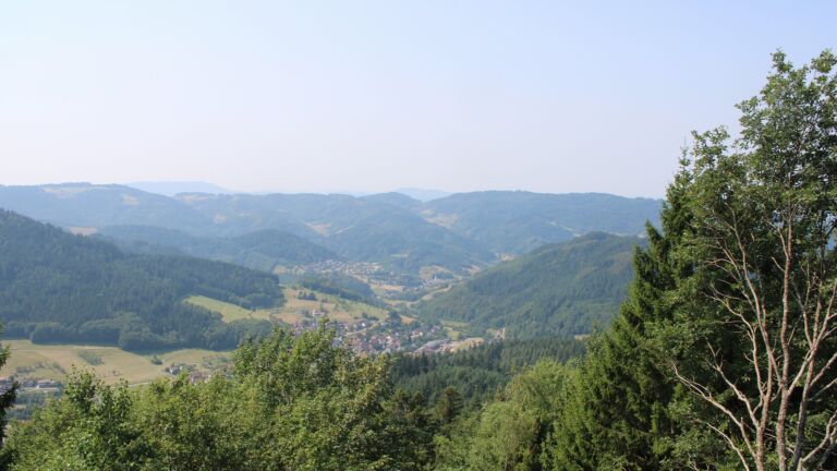Dieses Bild zeigt eine Webcam-Aufnahme vom Achertal, aufgenommen am Donnerstag, den 30.07.2026 um 12:00 Uhr. Die Temperatur betrug 34.1°C.