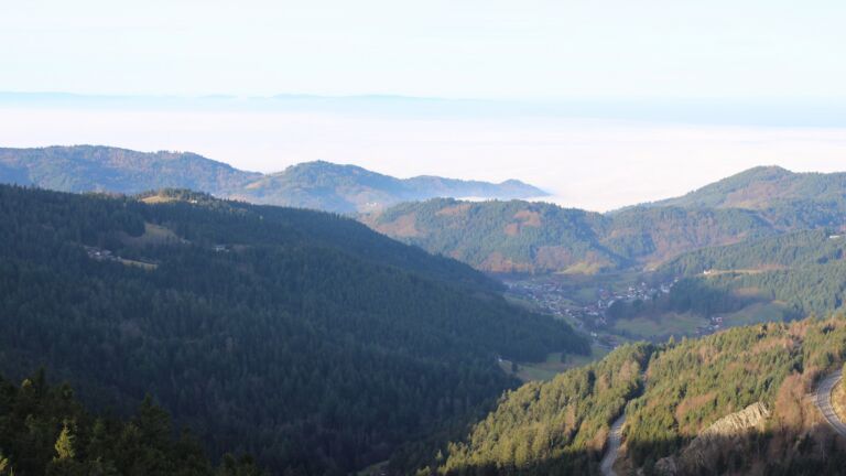 Dieses Bild zeigt eine Webcam-Aufnahme vom Achertal, aufgenommen am Sonntag, den 21.12.2025 um 10:00 Uhr. Die Temperatur betrug 6.2°C.