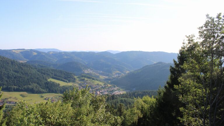 Dieses Bild zeigt eine Webcam-Aufnahme vom Achertal, aufgenommen am Donnerstag, den 23.07.2026 um 18:50 Uhr. Die Temperatur betrug 25.1°C.