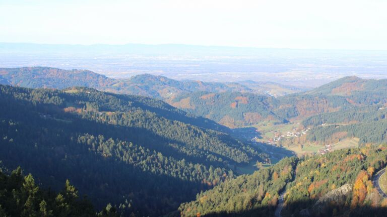 Dieses Bild zeigt eine Webcam-Aufnahme vom Achertal, aufgenommen am Mittwoch, den 29.10.2025 um 09:00 Uhr. Die Temperatur betrug 6°C.