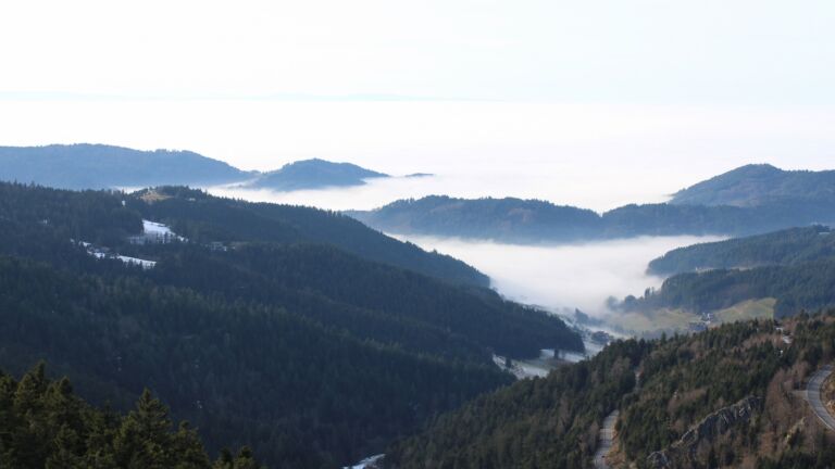 Dieses Bild zeigt eine Webcam-Aufnahme vom Achertal, aufgenommen am Mittwoch, den 21.01.2026 um 14:30 Uhr. Die Temperatur betrug 7.1°C.