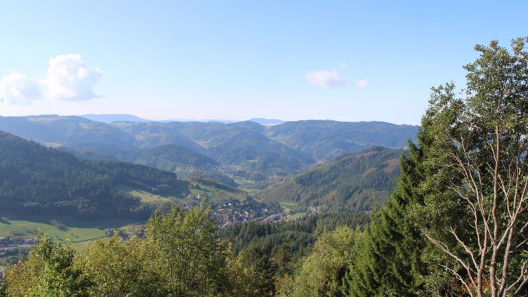 Dieses Bild zeigt eine Webcam-Aufnahme vom Achertal, aufgenommen am Montag, den 05.10.2026 um 11:20 Uhr. Die Temperatur betrug 20.9°C.