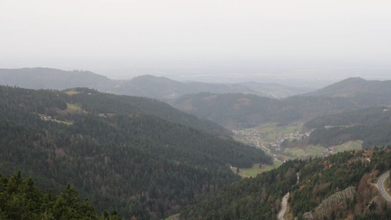 Dieses Bild zeigt eine Webcam-Aufnahme vom Achertal, aufgenommen am Freitag, den 14.11.2025 um 11:10 Uhr. Die Temperatur betrug 16°C.