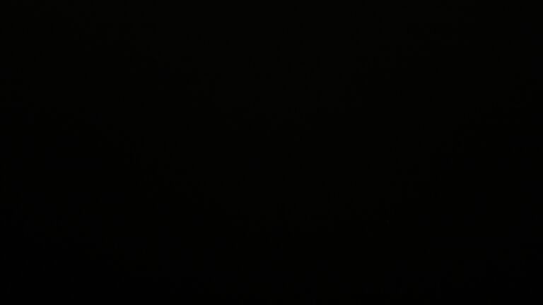 Dieses Bild zeigt eine Webcam-Aufnahme vom Achertal, aufgenommen am Donnerstag, den 16.10.2025 um 00:30 Uhr. Die Temperatur betrug 5.9°C.