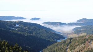 Dieses Bild zeigt eine Webcam-Aufnahme vom Achertal, aufgenommen am Dienstag, den 20.01.2026 um 11:50 Uhr. Die Temperatur betrug 9.6°C.