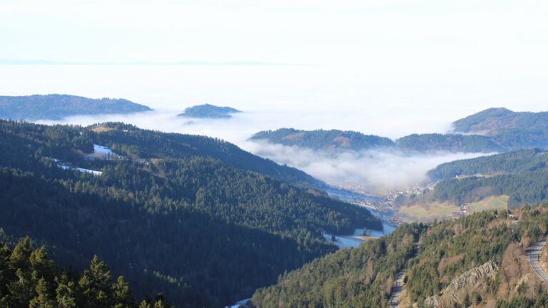 Dieses Bild zeigt eine Webcam-Aufnahme vom Achertal, aufgenommen am Dienstag, den 20.01.2026 um 11:50 Uhr. Die Temperatur betrug 9.6°C.