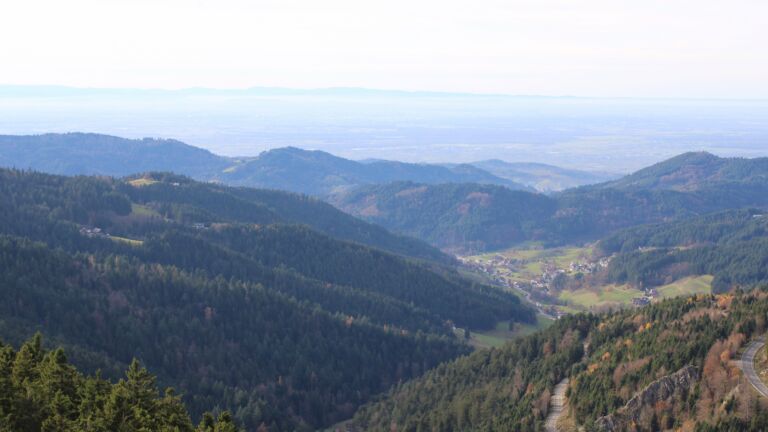 Dieses Bild zeigt eine Webcam-Aufnahme vom Achertal, aufgenommen am Mittwoch, den 12.11.2025 um 14:20 Uhr. Die Temperatur betrug 12.9°C.