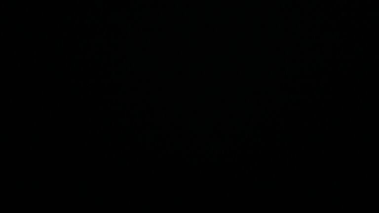 Dieses Bild zeigt eine Webcam-Aufnahme vom Achertal, aufgenommen am Donnerstag, den 25.09.2025 um 06:00 Uhr. Die Temperatur betrug 4.8°C.