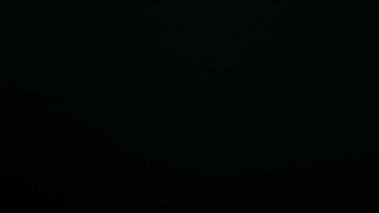 Dieses Bild zeigt eine Webcam-Aufnahme vom Achertal, aufgenommen am Sonntag, den 07.12.2025 um 06:50 Uhr. Die Temperatur betrug 3.8°C.