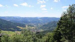Dieses Bild zeigt eine Webcam-Aufnahme vom Achertal, aufgenommen am Montag, den 15.06.2026 um 14:20 Uhr. Die Temperatur betrug 20°C.