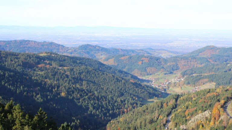 Dieses Bild zeigt eine Webcam-Aufnahme vom Achertal, aufgenommen am Mittwoch, den 29.10.2025 um 09:40 Uhr. Die Temperatur betrug 8.1°C.