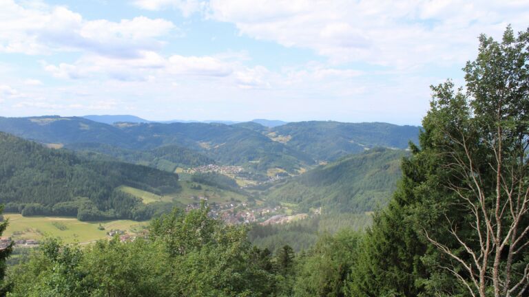 Dieses Bild zeigt eine Webcam-Aufnahme vom Achertal, aufgenommen am Freitag, den 17.07.2026 um 11:30 Uhr. Die Temperatur betrug 22.6°C.