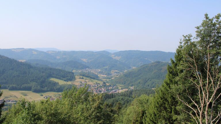 Dieses Bild zeigt eine Webcam-Aufnahme vom Achertal, aufgenommen am Donnerstag, den 30.07.2026 um 11:10 Uhr. Die Temperatur betrug 32.6°C.