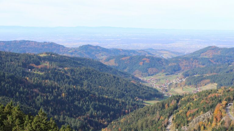 Dieses Bild zeigt eine Webcam-Aufnahme vom Achertal, aufgenommen am Mittwoch, den 29.10.2025 um 11:30 Uhr. Die Temperatur betrug 12.1°C.