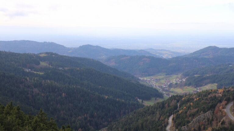 Dieses Bild zeigt eine Webcam-Aufnahme vom Achertal, aufgenommen am Dienstag, den 11.11.2025 um 14:30 Uhr. Die Temperatur betrug 8.1°C.