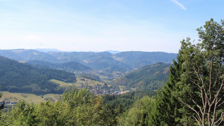 Dieses Bild zeigt eine Webcam-Aufnahme vom Achertal, aufgenommen am Mittwoch, den 26.08.2026 um 12:40 Uhr. Die Temperatur betrug 25°C.