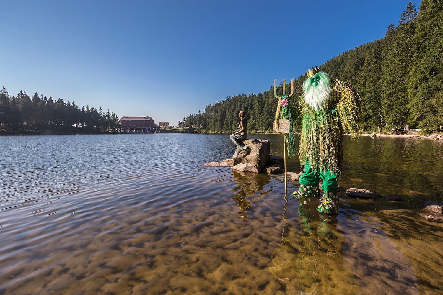 Bild von Mummelseegeist
